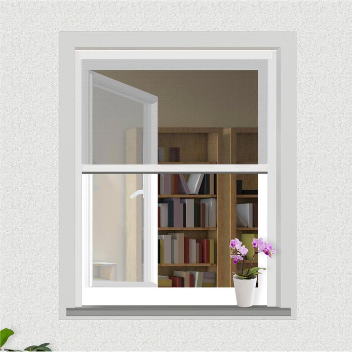 Immagine prodotto Windhager Zanzariera a rullo per finestre (100 x 160 cm)