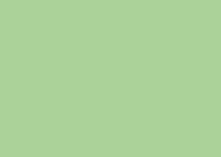 Immagine prodotto Clairefontaine Trophée (80 g/m², 500 x, A4)