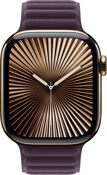 Image du produit Apple Bracelet à lien magnétique (42 mm, Feintwill, Apple Watch Series 10, Apple Watch SE 2024)
