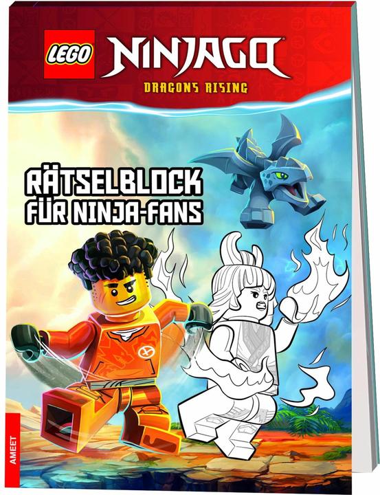 Actual product image LEGO NINJAGO - Puzzle block for ninja fans (LEGO Accessories)