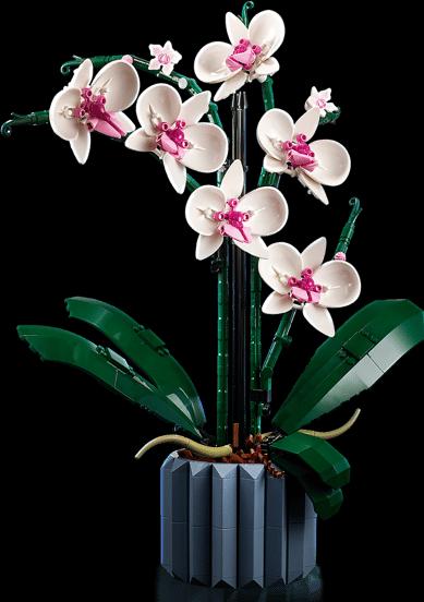 Image du produit LEGO Orchidée (10311, LEGO Botanical)