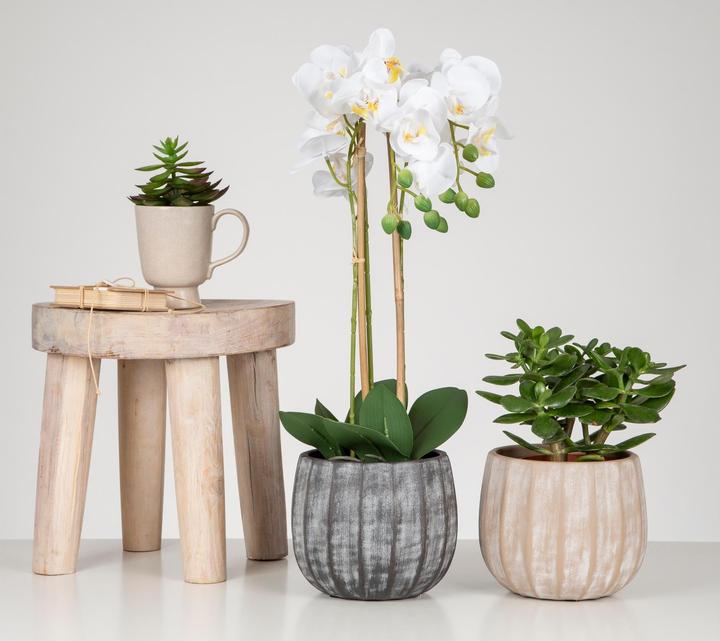 Produktbild Scheurich Blumentopf Runa 4.2 l, Grau (27 cm)