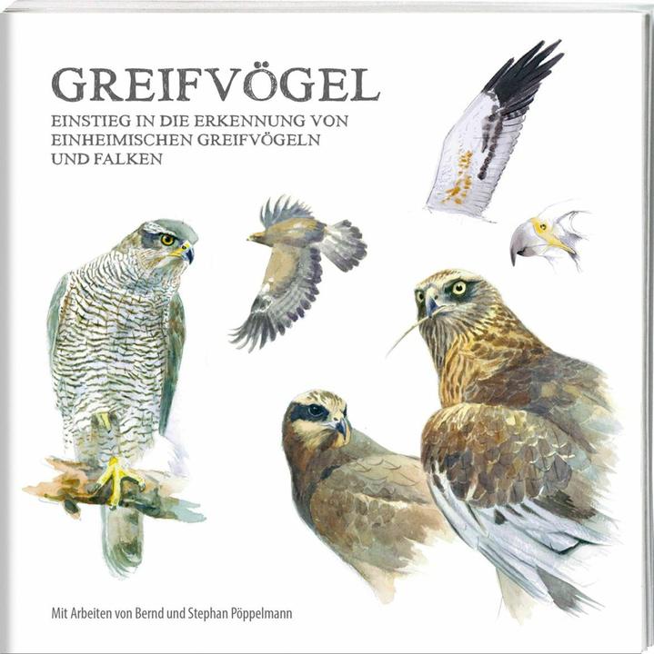 Immagine prodotto Greifvögel (Tedesco, Bernd Pöppelmann, Stephan Pöppelmann, 2024)