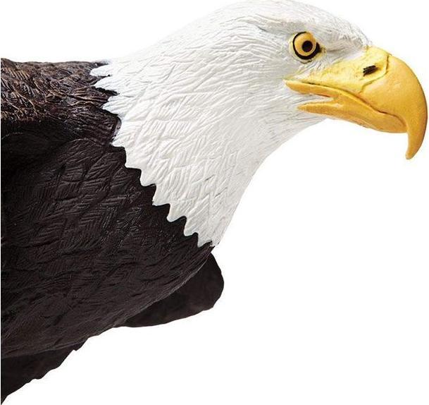 Actual product image Safari Bald Eagle