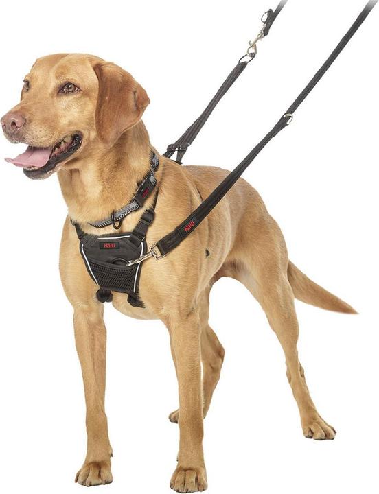 Produktbild Company of Animals Halti No Pull Antizug M Harness (M, Hund, Allgemein)