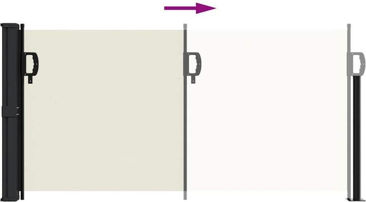 Actual product image VidaXL Extendable side awning (1 m)