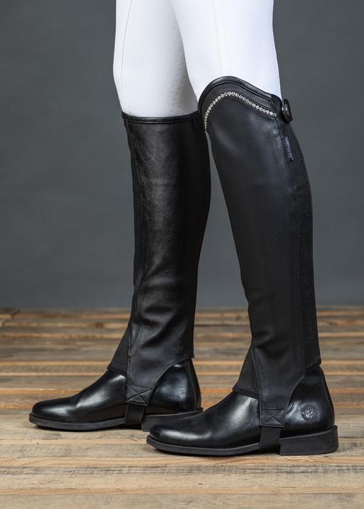 Image du produit Harry's Horse Asteroid (XL)