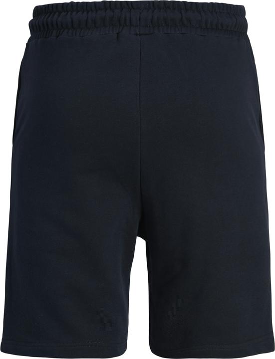 Jack & Jones Regular Fit Shorts Shorts