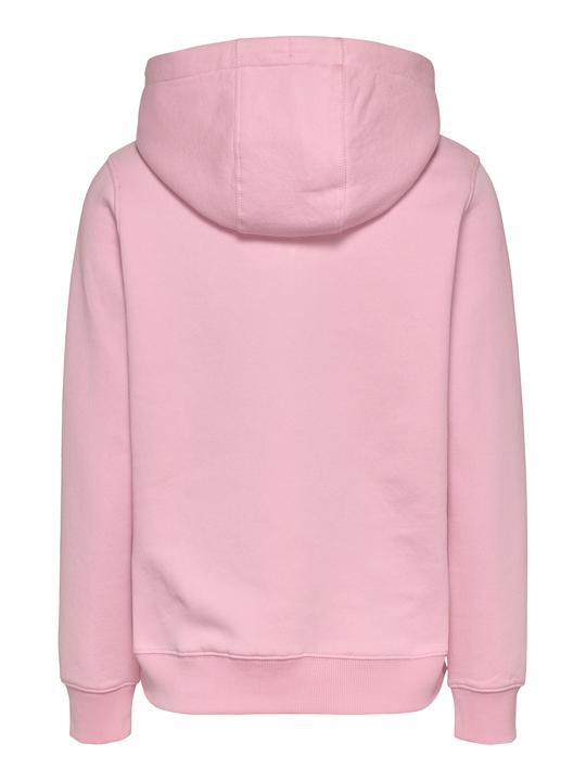 Immagine prodotto Tommy Jeans Tjw Reg Ess Logo Hoodie Ext (L)