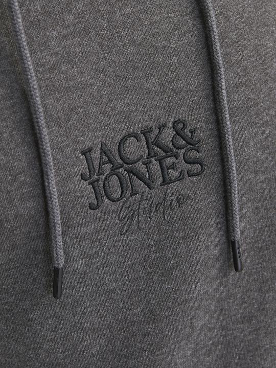 Produktbild Jack & Jones Logo Kapuzenpullover Kapuzenpullover (M)