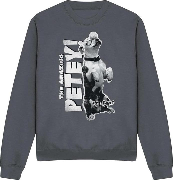 Image du produit The Little Rascals - Sweat AMAZING PETEY - Adulte (XXL)
