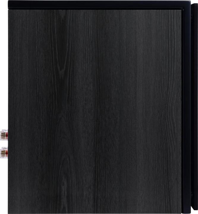 Image du produit Heco AURORA XT 300 BLACK/OAK (1 paire, 80 W)