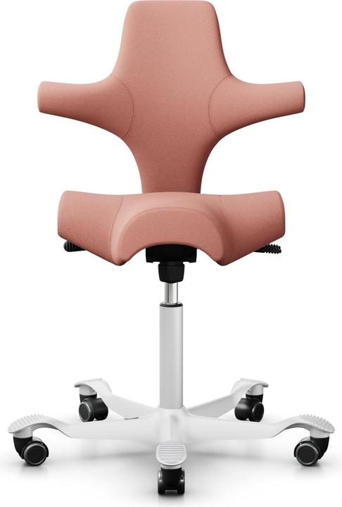HAG Capisco 8106