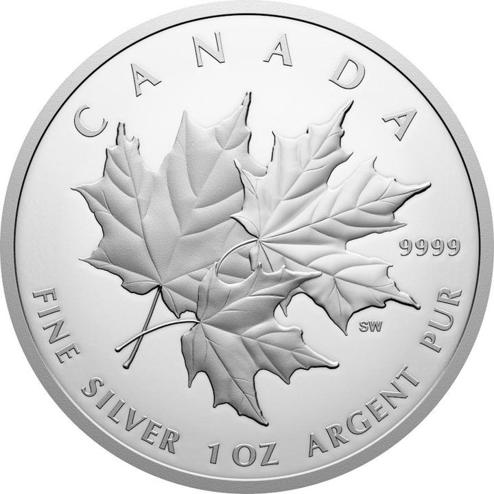 Image du produit Royal Canadian Mint Silber Triple Maple Leaf 1 oz PP - 2025 (999.90, 2025)