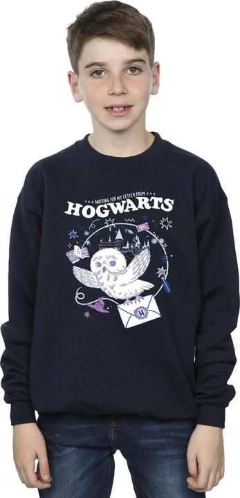 Immagine prodotto Owl Letter From Hogwarts Felpa Ragazzi (128)