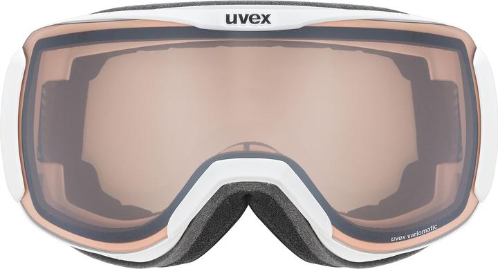 Produktbild Uvex Sports Downhill 2100 V