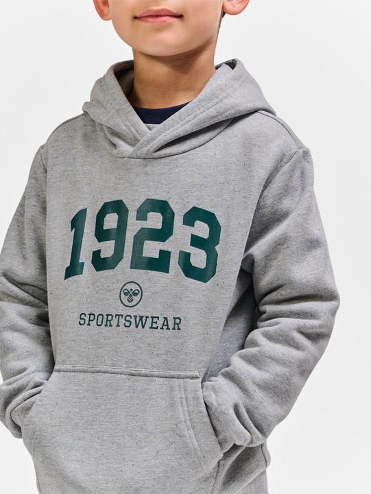 Image du produit hummel hmlNIPPS HOODIE (110)