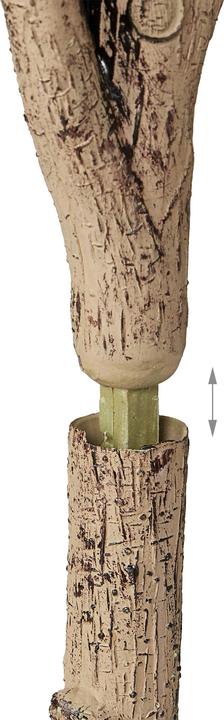 Produktbild Relaxdays Olivenbaum (90 cm)