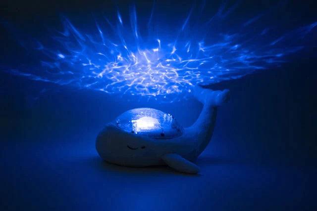 Actual product image Cloud B Tranquil Whale