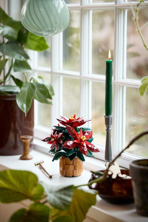 Produktbild LEGO Weihnachtsstern (10370, LEGO Icons)