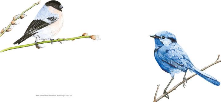 Image du produit Vögel in der Kunst (Allemand, Kendra Wilson, 2020)