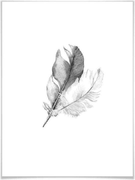Image du produit Trenddeko Springs (30 x 40 cm)