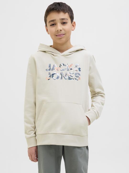 Actual product image Jack & Jones Jjebryan Corp Logo Sweat Hood Noos Jnr (140)