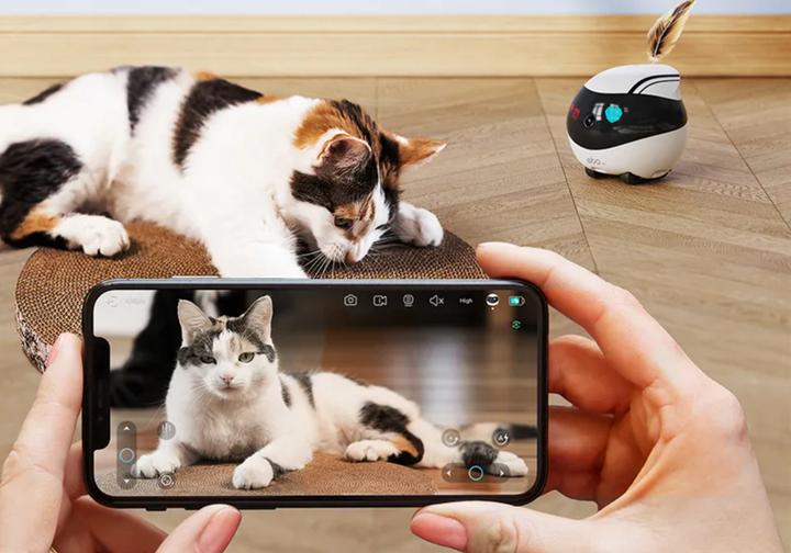 Actual product image Enabot EBO Air (1920 x 1080 Pixels)