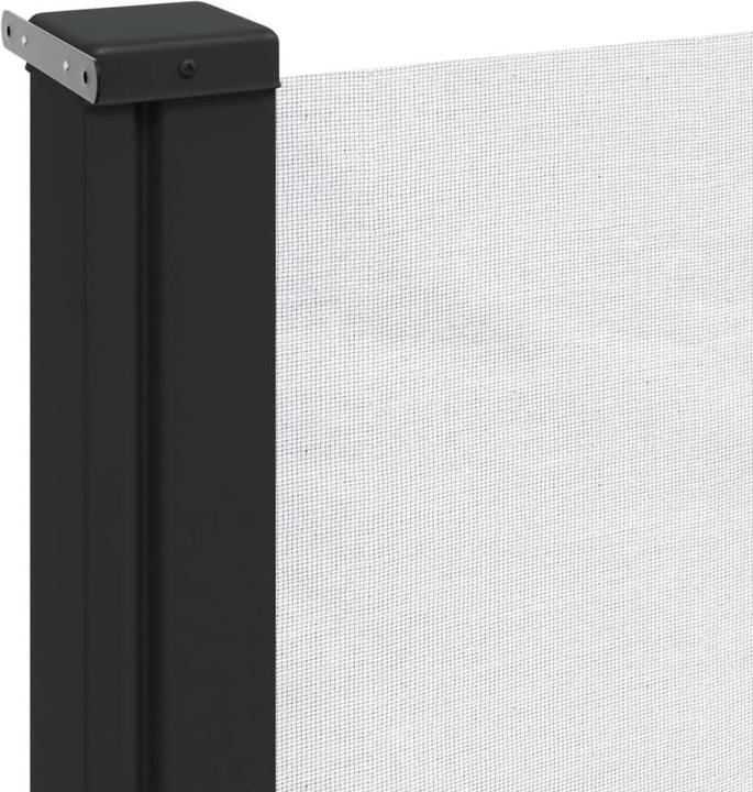Actual product image VidaXL Extendable side awning (1 m)