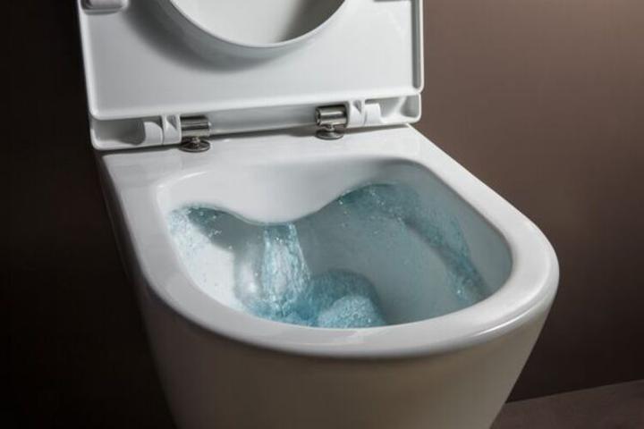Actual product image Laufen PRO UNIVERSAL WC seat with cover manhattan