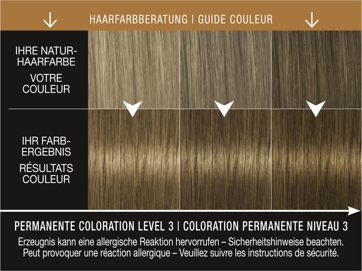 Actual product image Syoss Permanent Colour 6 66 Roasted Pecan (6_66 Roasted Pecan)