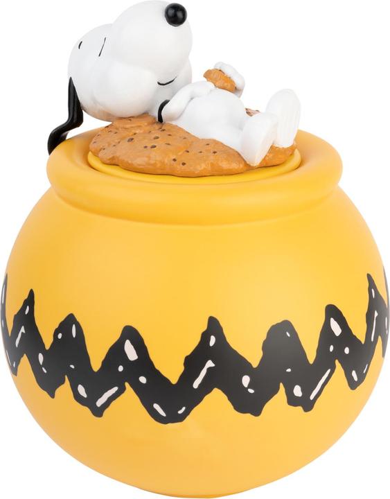 Peanuts - Snoopy's sleeping