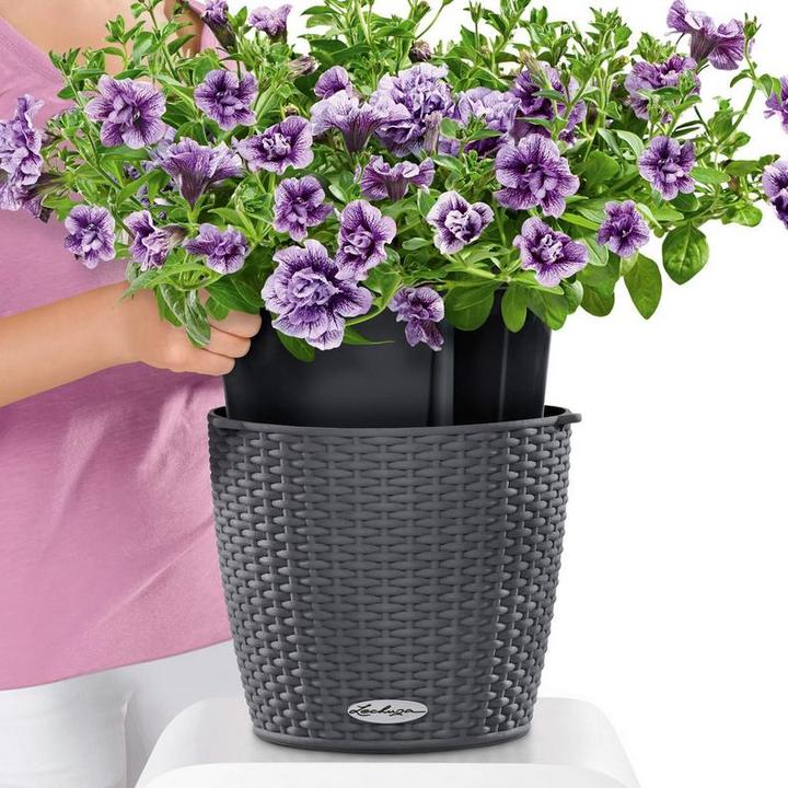 Produktbild Lechuza Nido Cottage (27 cm)