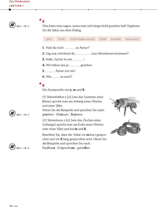 Image du produit PONS Power-Sprachkurs Deutsch als Fremdsprache für Fortgeschrittene (Allemand, Christine Breslauer, 2018)