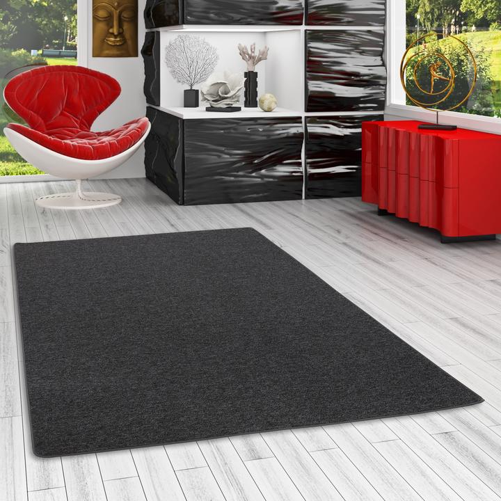 Image du produit Snapstyle Tapis en velours à boucles fines Fort (140 x 200 cm)