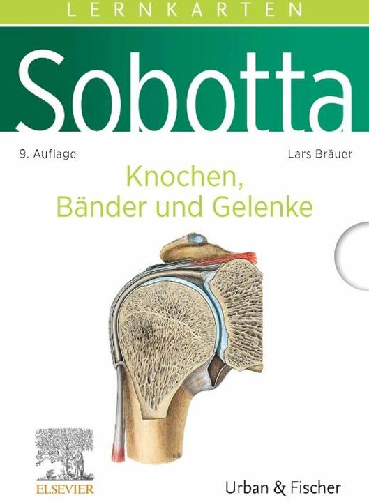 Produktbild Bräuer:Sobotta Lernkarten Knochen, Bänd (Deutsch, Lars Bräuer, 2024)