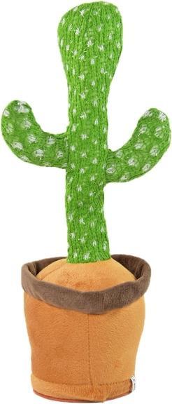Immagine prodotto Kögler Cactus danzante (32 cm)