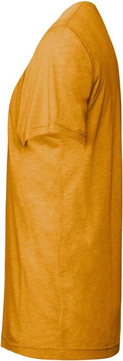 Actual product image Bella Canvas Adult Triblend Tshirt (L)