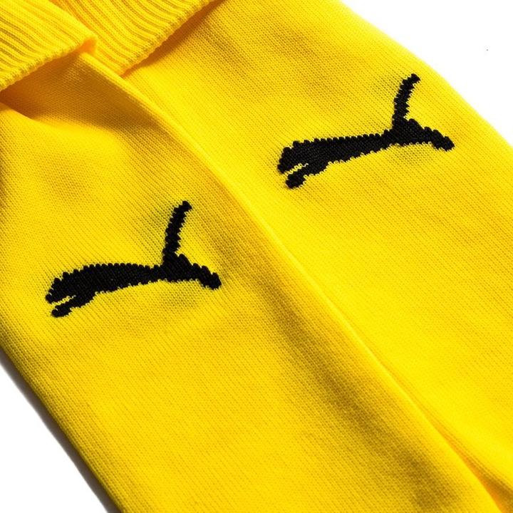 Actual product image Puma Team LIGA Socks CORE-703441 (43, 47)
