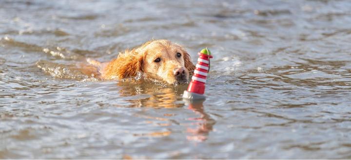 Actual product image Trixie Floating toy Aqua Toy Lighthouse 20 cm, orange, grey (Dog chew toy)