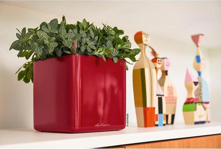Image du produit Lechuza Cube Glossy 14 (14 cm)