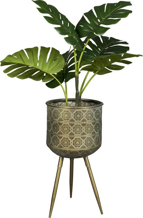 Produktbild Dutchbone Botanique (28.50 cm)
