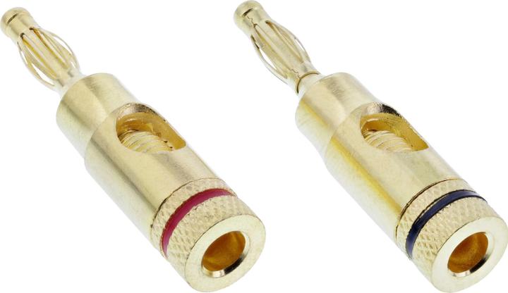 Actual product image InLine Audio plug