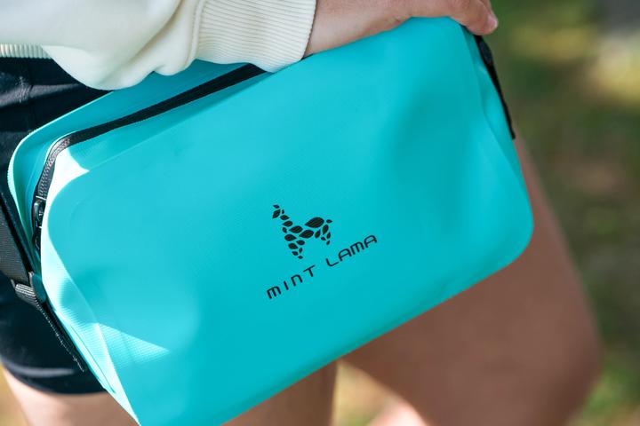 Actual product image Mint Lama Pouch Bag