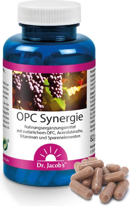 Image du produit Dr. Jacob's OPC synergie gélules (120 pièce(s), Capsules, 500 g)