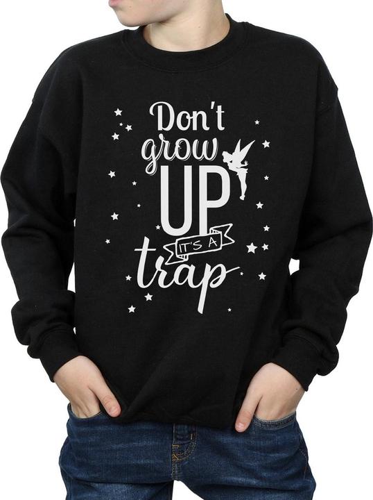 Actual product image Disney Boys Tinker Bell Don't Grow Up Sweatshirt (128)