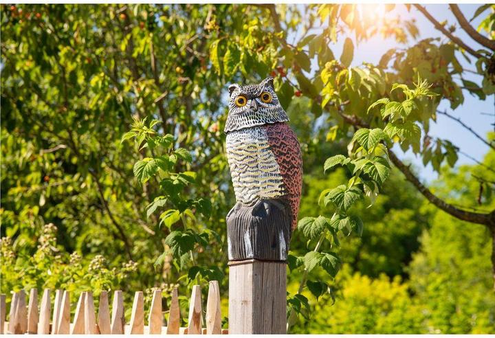 Produktbild Windhager Vogel Abwehr Eule