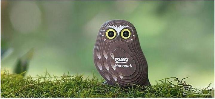 Actual product image Eugy Owl