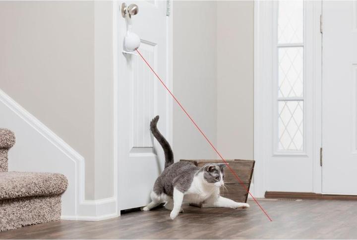Image du produit PetSafe Jouet laser pour chats Dancing Dot™ (Jouets avec herbe à chat)