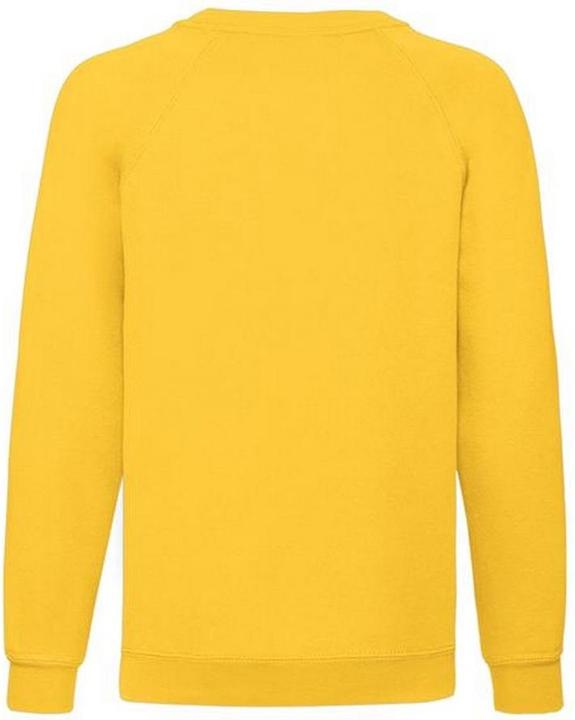 Produktbild Fruit of the Loom Pullover (104)